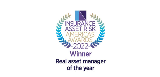Real asset manager of the year - DWS