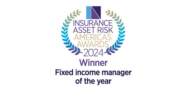 Fixed income manager of the year: Wellington Management