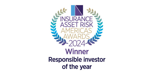 Responsible investor of the year: DWS