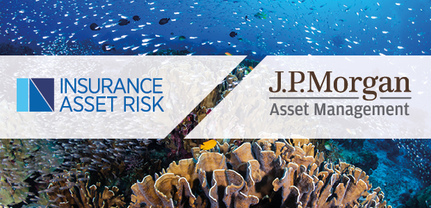 Accounting for biodiversity in investment portfolios