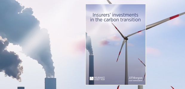Insurers' investments in the carbon transition - report