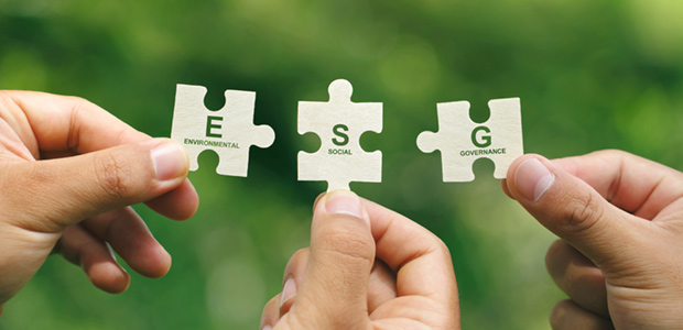 How to approach ESG holistically
