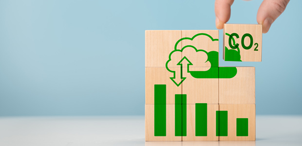 Net-zero in economic terms