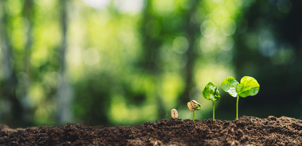 How to set your Net-zero targets
