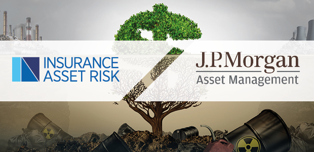 Assessing transition risk in insurers' investment portfolios