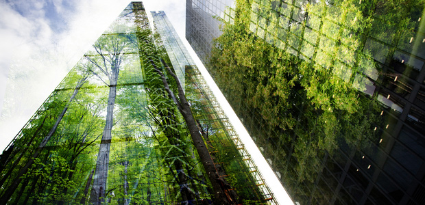 Natural capital investment case for insurers
