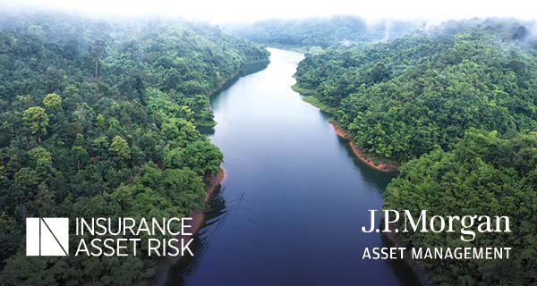 Transitioning insurers' portfolios